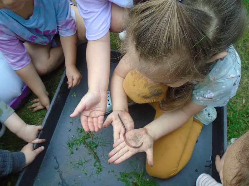 Children exploring herbs and water in a tuff tray